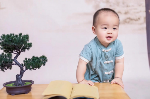 黑河可爱的企鹅宝宝